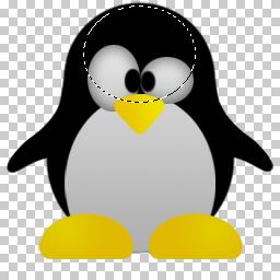 PSD PINGUIM LINUX