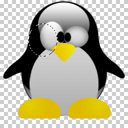 PSD PINGUIM LINUX