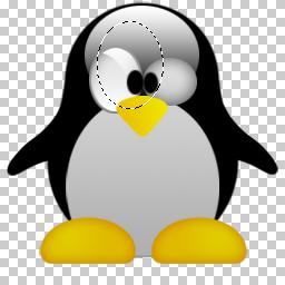 PSD PINGUIM LINUX