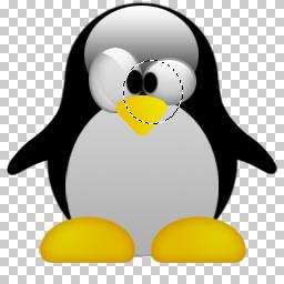 PSD PINGUIM LINUX