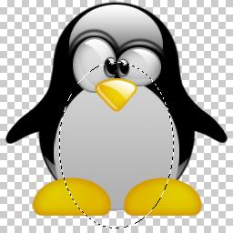 PSD PINGUIM LINUX