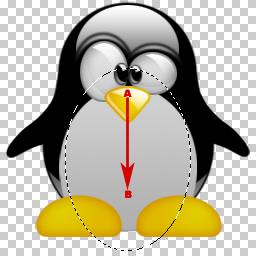 PSD PINGUIM LINUX