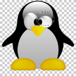 PSD PINGUIM LINUX